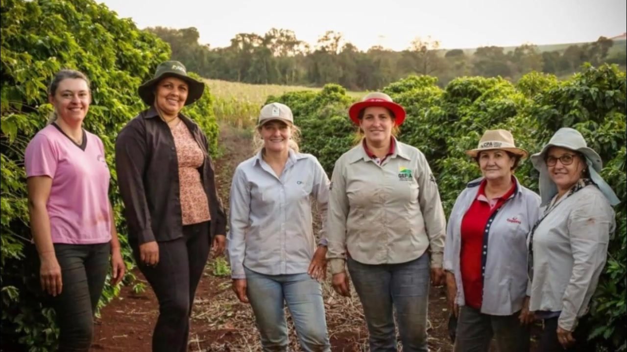As Mulheres do Café reunidas na lavoura em Jesuítas, Paraná